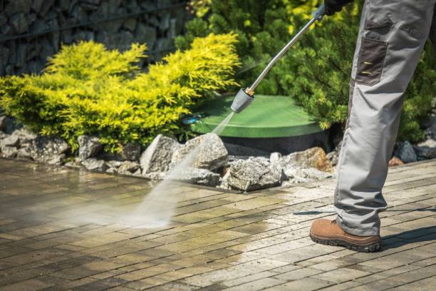 Best Driveway Pressure Washing  in Bowman, ND
