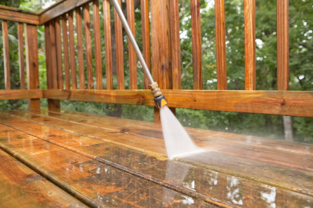 Best Roof Washing  in Bowman, ND